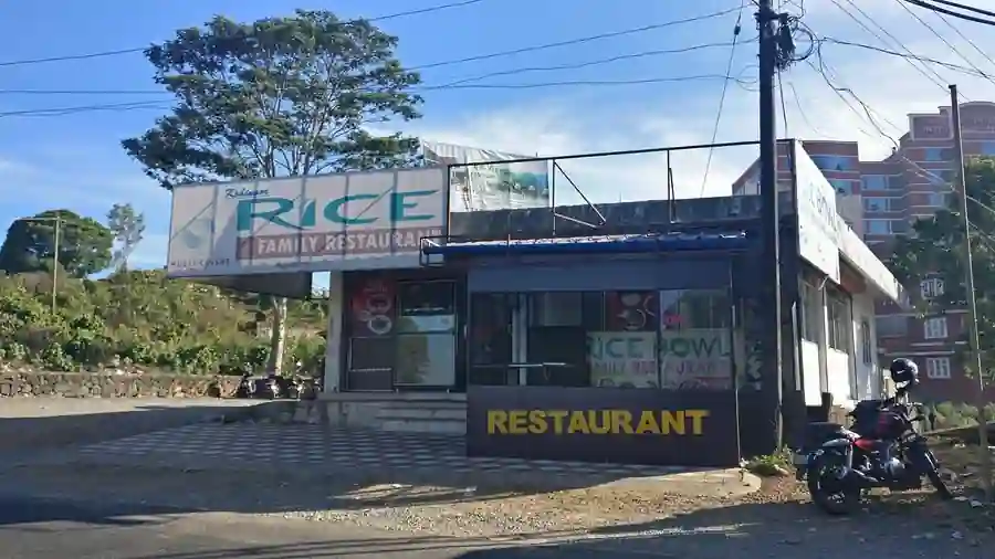 Rice Bowl