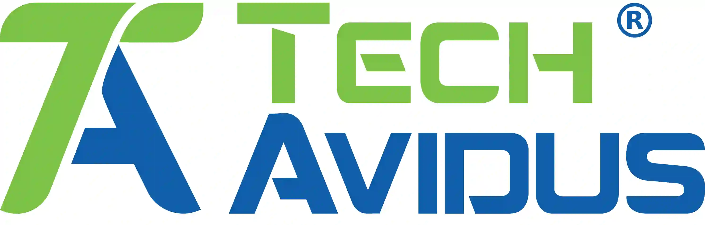 TechAvidus Pvt Ltd