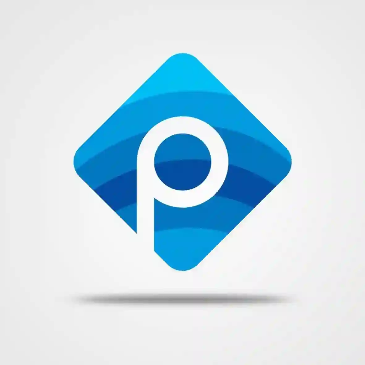 Picasso Multimedia 